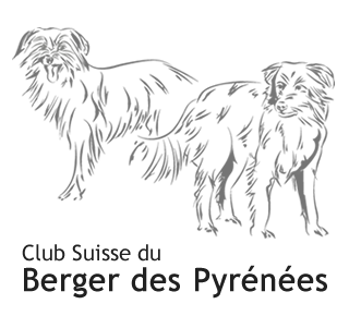 Zurück zur Startseite